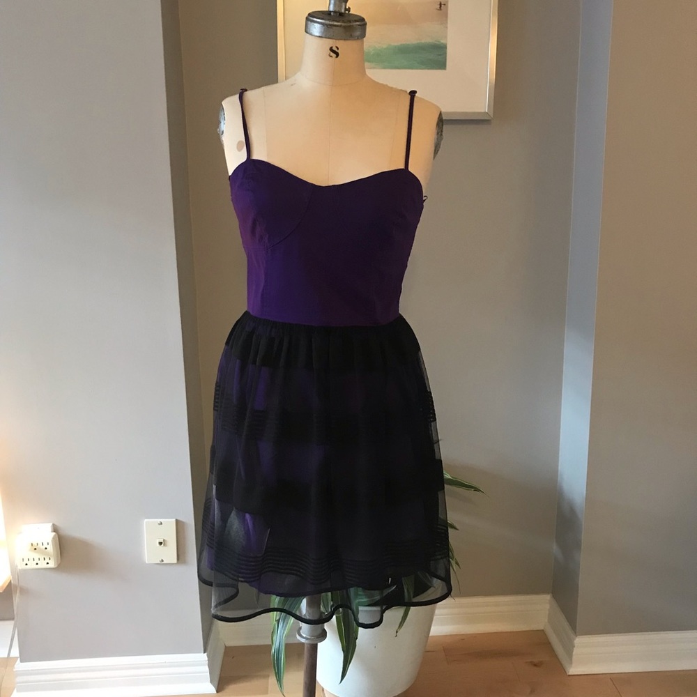 Purple Bustier with Black Tulle Dress